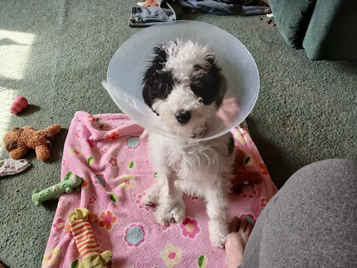 WVRC - Grafton Picture 3