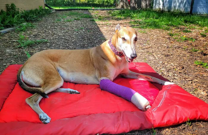 WVRC - Grafton Picture 6