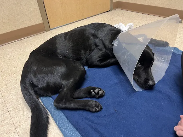 WVRC - Grafton Picture 5