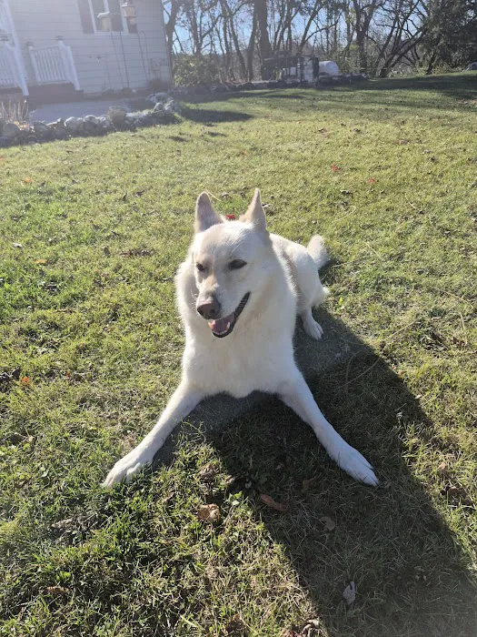 WVRC - Grafton Picture 7