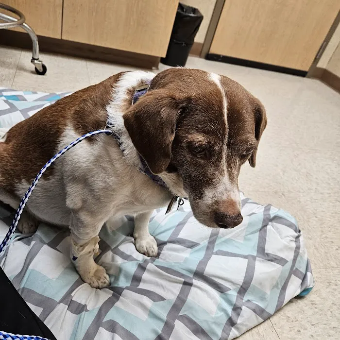 WVRC - Grafton Picture 8