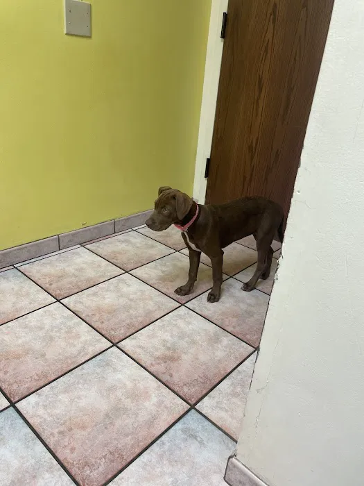 ADVANCED VETERINARY CARE CLINIC Picture 2