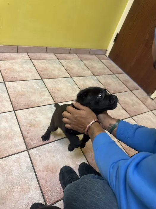 ADVANCED VETERINARY CARE CLINIC Picture 7