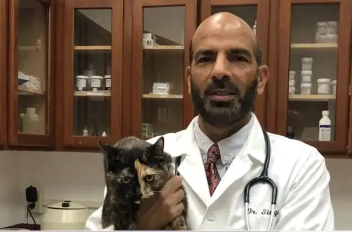 ADVANCED VETERINARY CARE CLINIC Picture 9