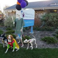 Thiensville-Mequon Small Anml: Carlson J H DVM ico