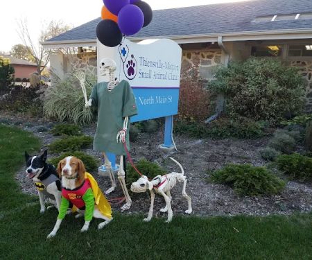 Thiensville-Mequon Small Anml: Carlson J H DVM