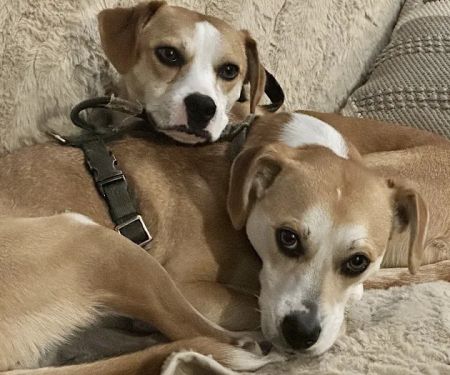 Thiensville-Mequon Small Animal Clinic