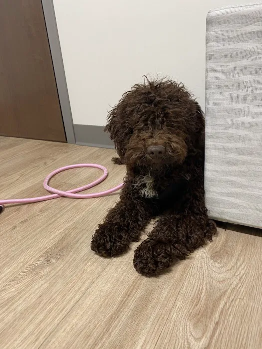 Thiensville-Mequon Small Animal Clinic Picture 3