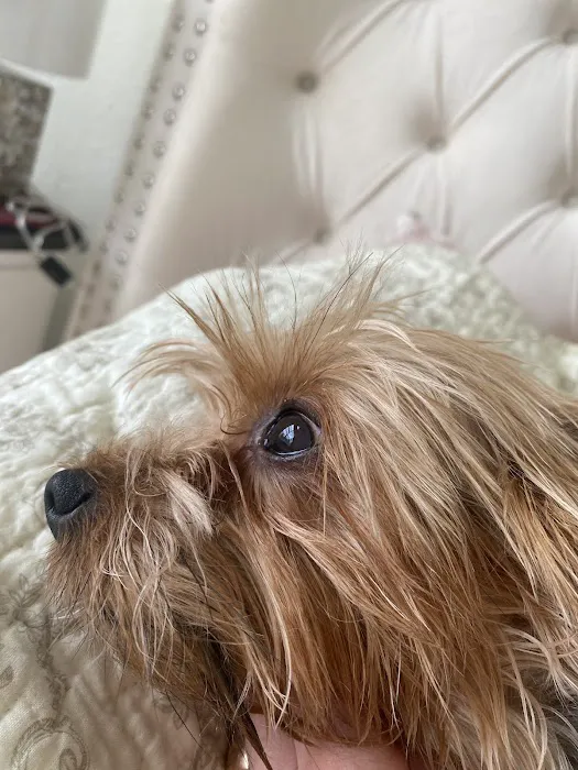 Thiensville-Mequon Small Animal Clinic Picture 6