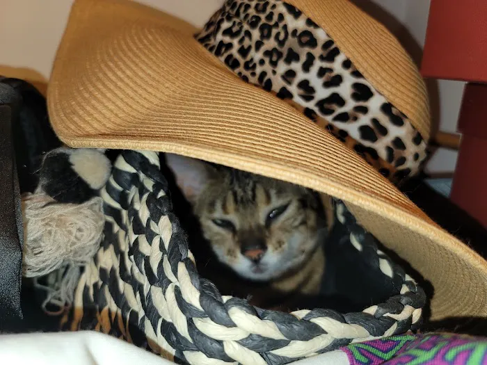 Thiensville-Mequon Small Animal Clinic Picture 7