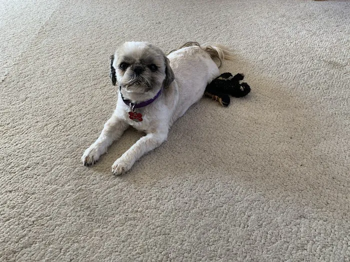 Thiensville-Mequon Small Animal Clinic Picture 10