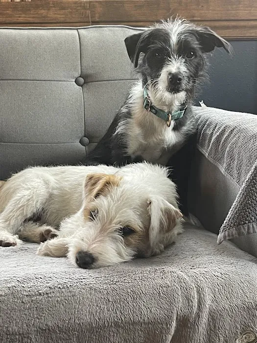 Thiensville-Mequon Small Animal Clinic Picture 8