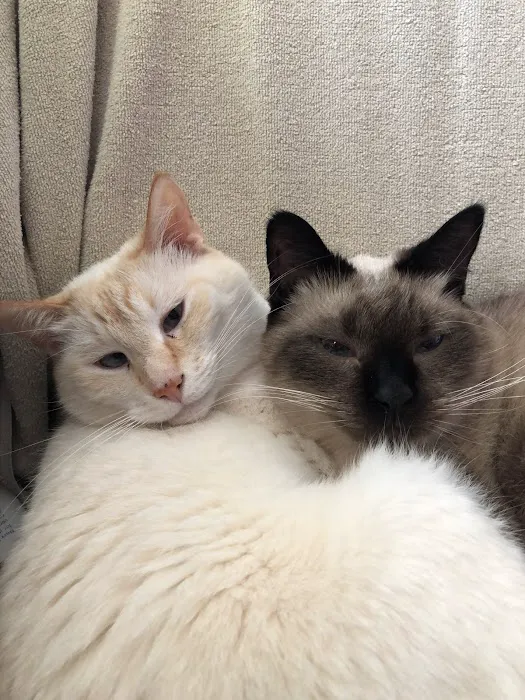 Thiensville-Mequon Small Animal Clinic Picture 9