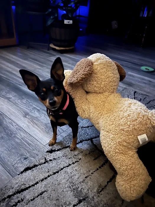 Wisconsin Veterinary Neurology & Surgical Center Picture 2