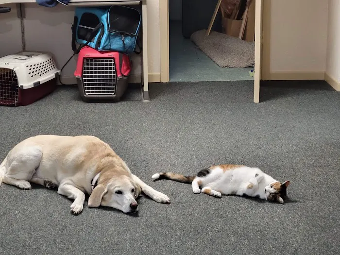 East Towne Veterinary Clinic Picture 4