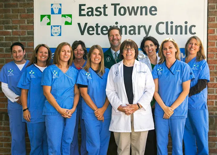 East Towne Veterinary Clinic Picture 3