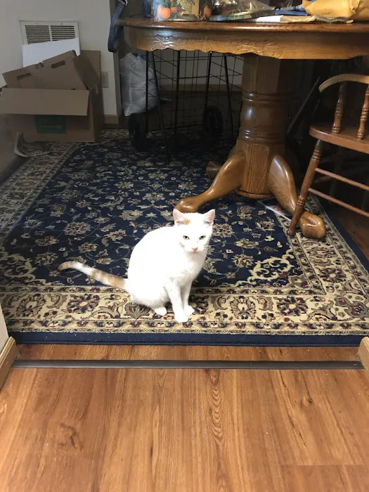 East Towne Veterinary Clinic Picture 6