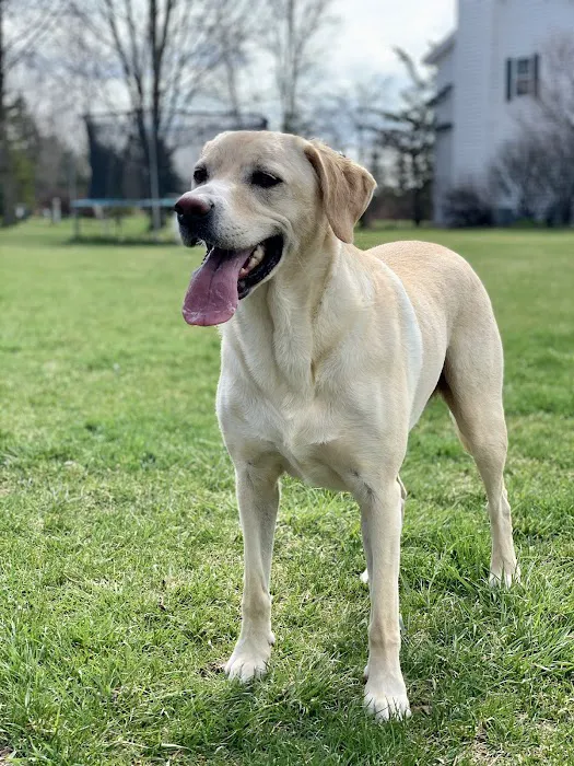 East Towne Veterinary Clinic Picture 7