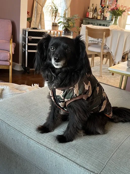 East Towne Veterinary Clinic Picture 8