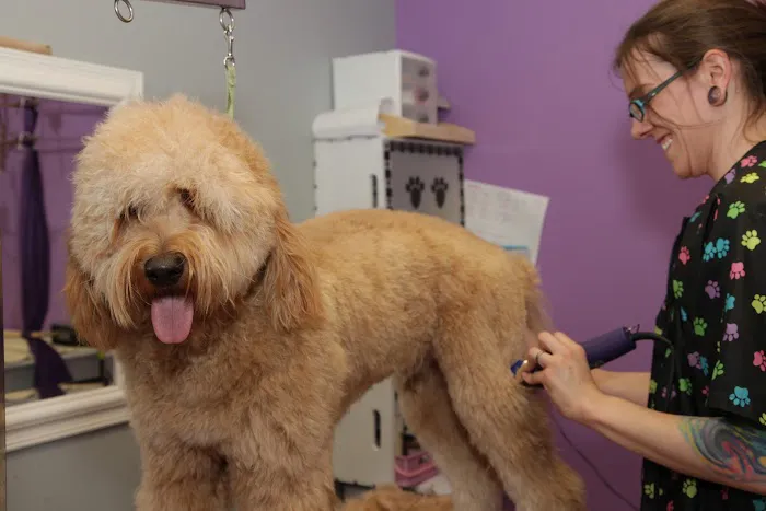 East Towne Veterinary Clinic Picture 10