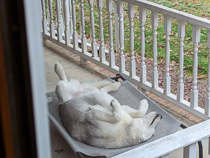 Caldwell Veterinary Hospital Picture 1