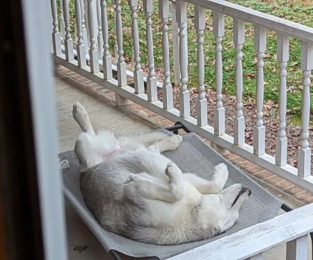 Caldwell Veterinary Hospital