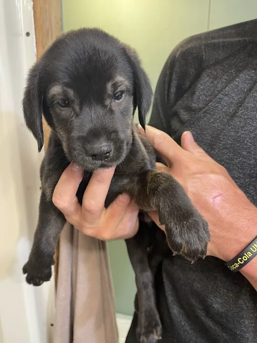 Caldwell Veterinary Hospital Picture 3