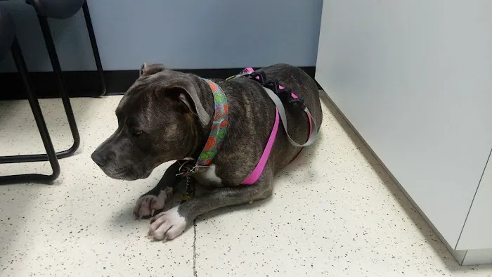 Caldwell Veterinary Hospital Picture 4