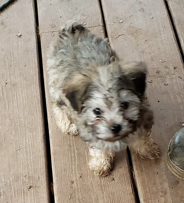 Caldwell Veterinary Hospital Picture 7