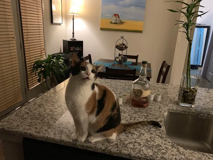 Caldwell Veterinary Hospital Picture 8