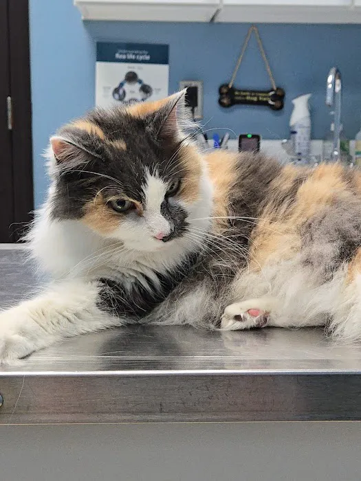 Caldwell Veterinary Hospital Picture 5