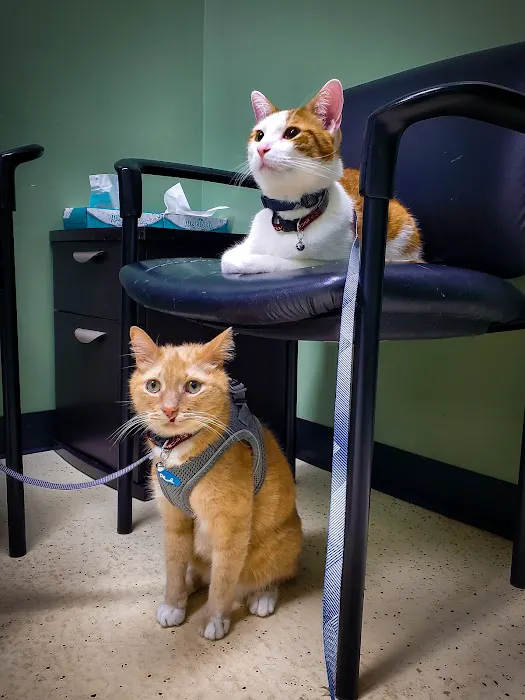 Caldwell Veterinary Hospital Picture 9