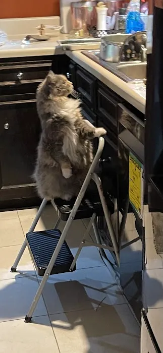 John's Veterinary Clinic Picture 2