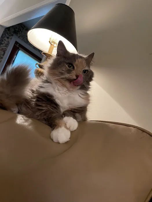 John's Veterinary Clinic Picture 1