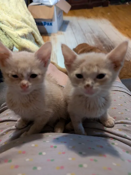 Greenwood Farm Veterinary Clinic Picture 1