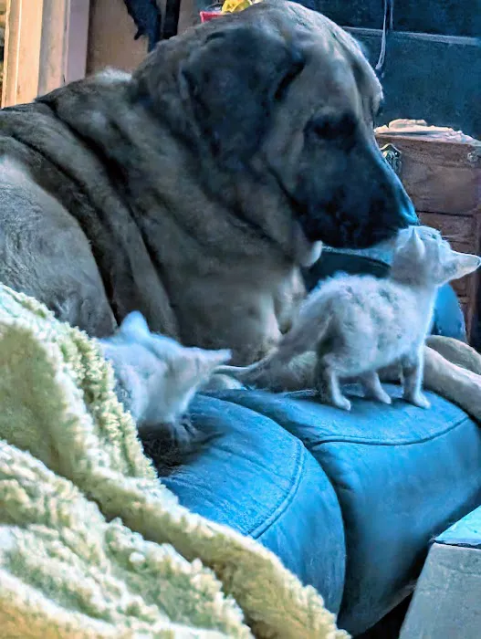 Greenwood Farm Veterinary Clinic Picture 2