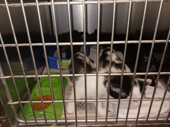 Greenwood Farm Veterinary Clinic Picture 6