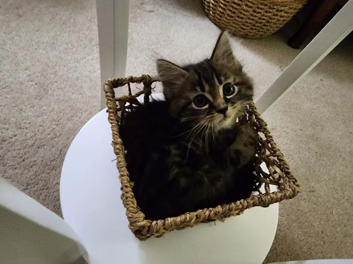 Greenwood Farm Veterinary Clinic Picture 9