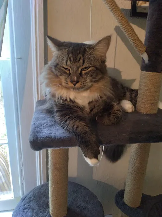 Greenwood Farm Veterinary Clinic Picture 7