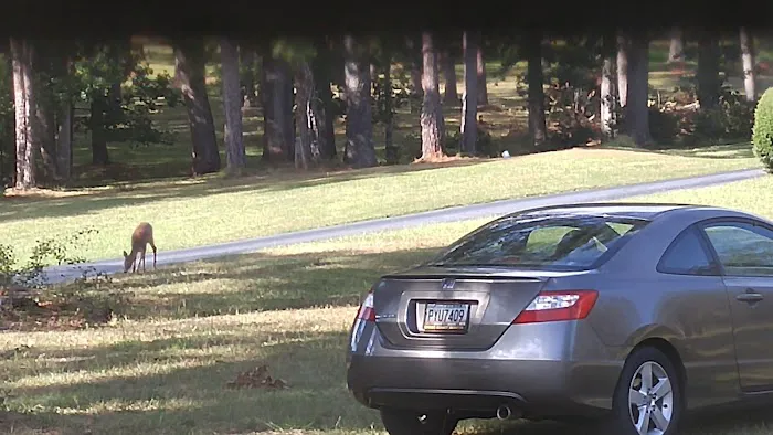 Greenwood Farm Veterinary Clinic Picture 8