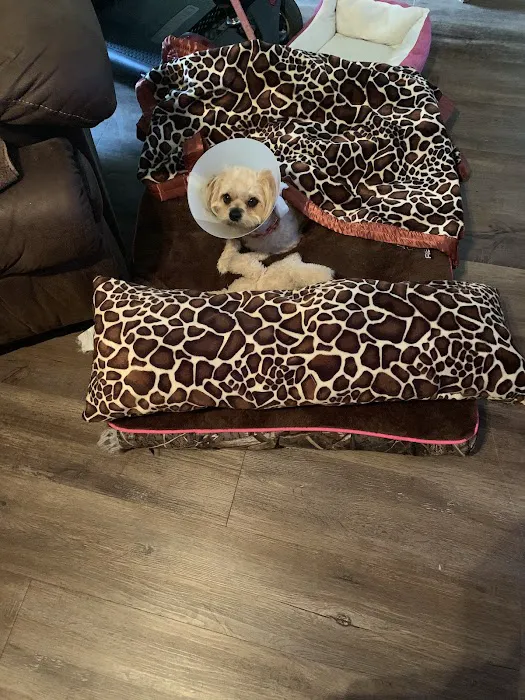 Plantation Centre Animal Hospital Picture 1