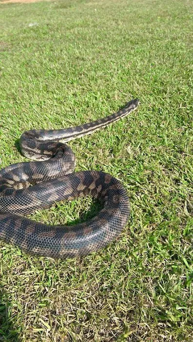 Plantation Centre Animal Hospital Picture 3