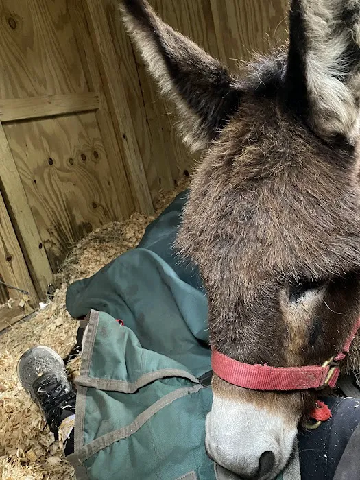 Plantation Centre Animal Hospital Picture 7