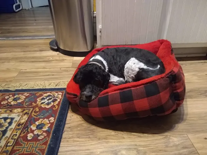 Forsyth Road Animal Clinic Picture 2