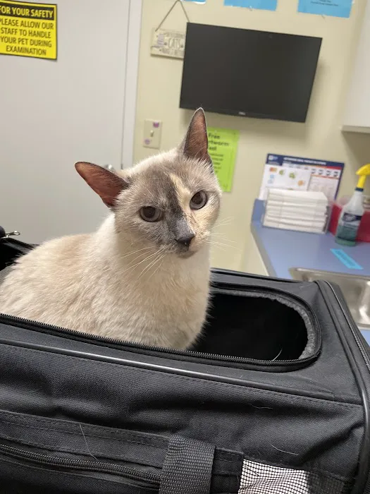 Forsyth Road Animal Clinic Picture 3