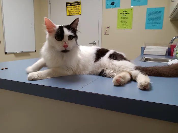 Forsyth Road Animal Clinic Picture 7