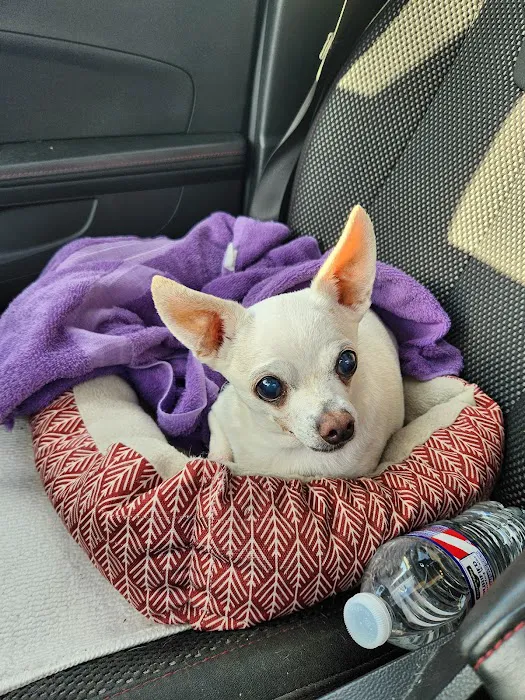 Forsyth Road Animal Clinic Picture 8