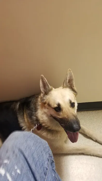 Brantley and Jordan Animal Hospital Picture 1