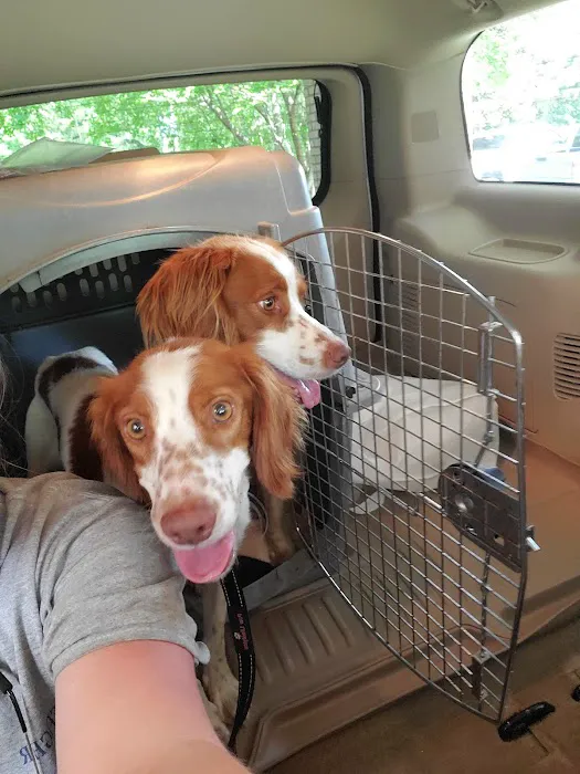 Brantley and Jordan Animal Hospital Picture 3