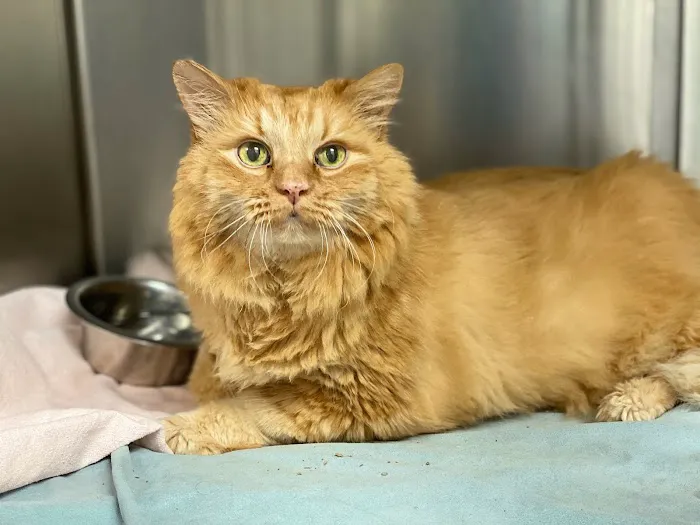 Brantley and Jordan Animal Hospital Picture 7